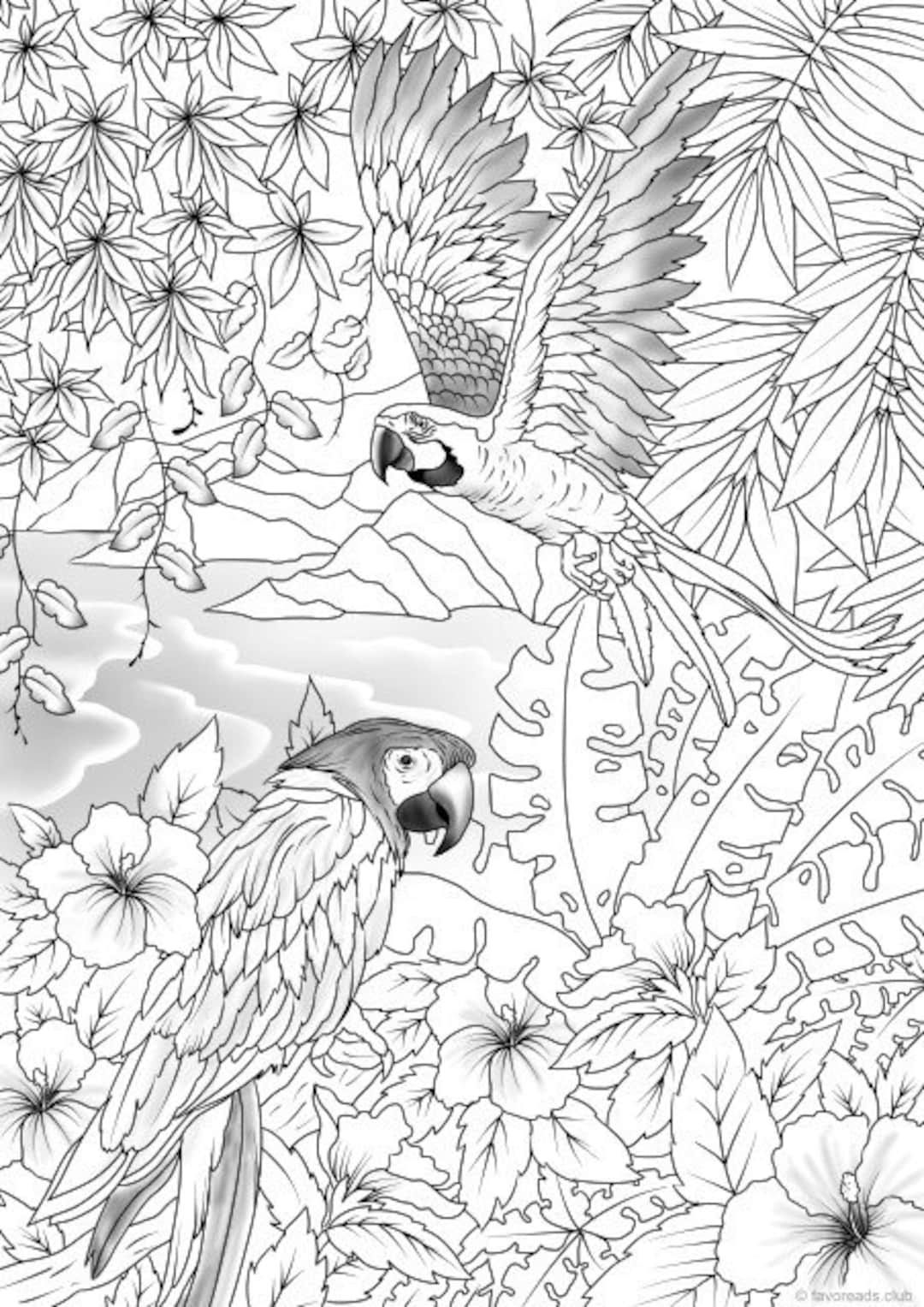 Paradise parrots printable adult coloring page from favoreads coloring book pages for adults and kids coloring sheets coloring designs instant download