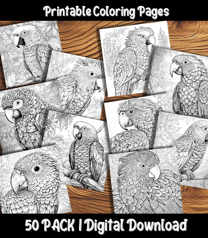 Parrot coloring pages digital pack happy colorist