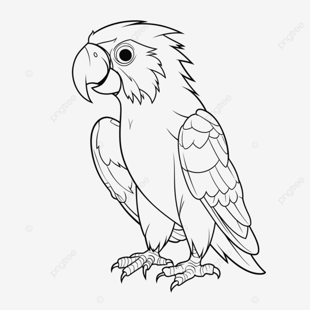 Cute parrot coloring pages pdf free parrot coloring pages for children outline sketch drawing vector wing drawing ring drawing parrot drawing png and vector with transparent background for free download