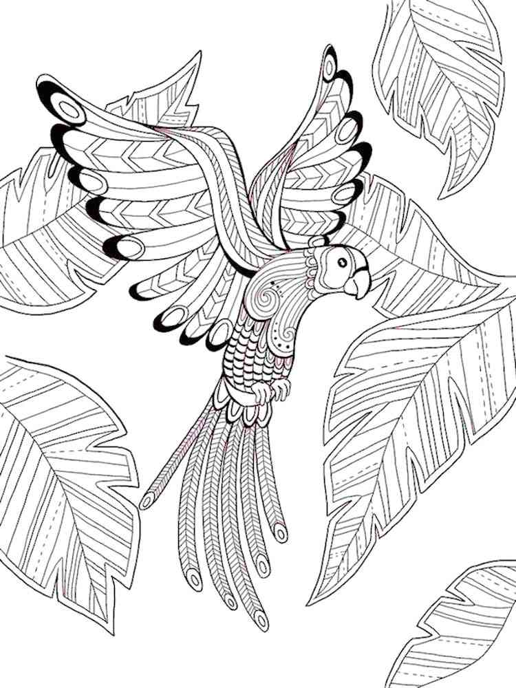 Free printable parrot coloring pages for adults