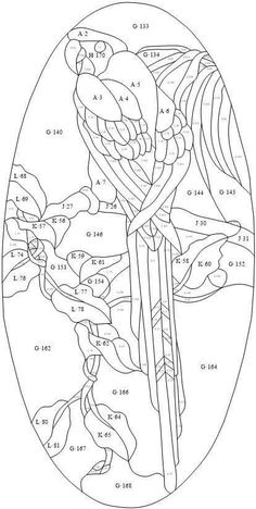 Parrot ideas stained glass birds stained glass patterns stained glass art