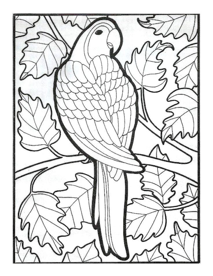 Pin by rosiaparecida on cores quentes e frias bird coloring pages animal coloring pages painting patterns