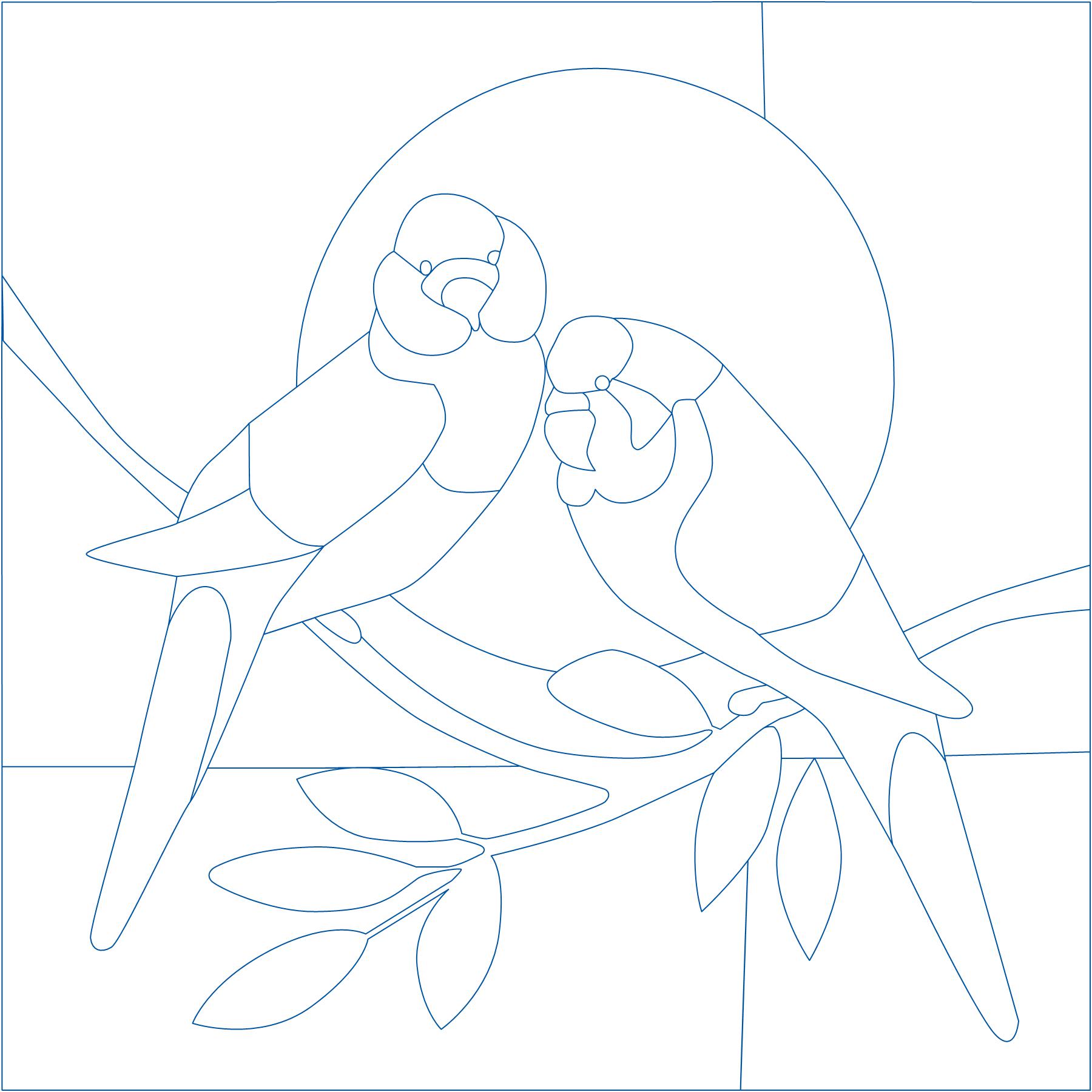 Budgerigar block