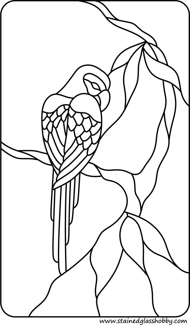 Parrot stained glass stained glass patterns stained glass quilt stained glass patterns free