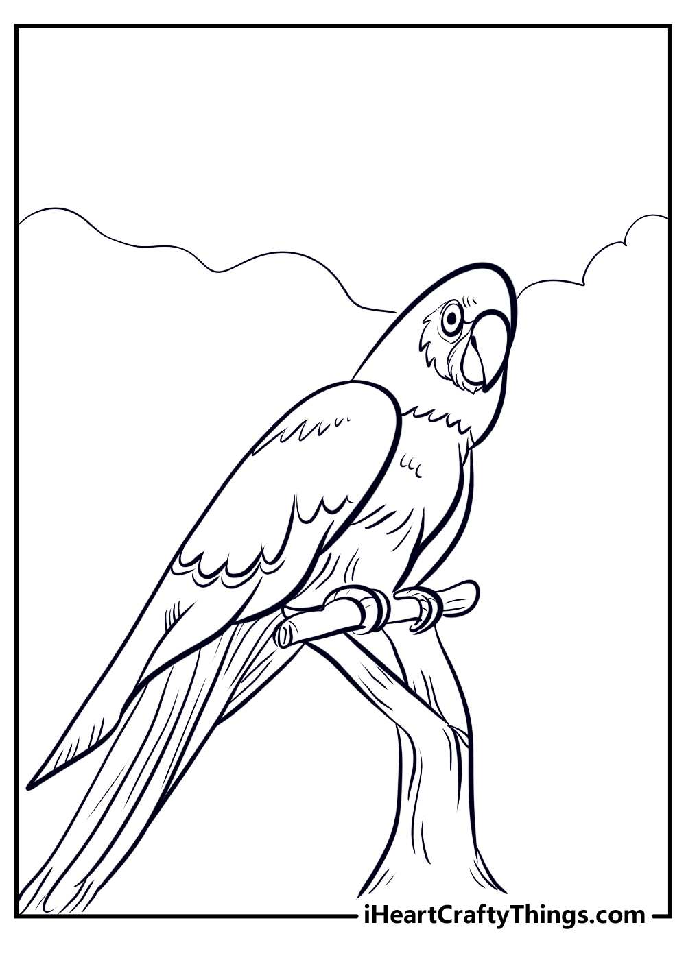 Parrots coloring pages free printables