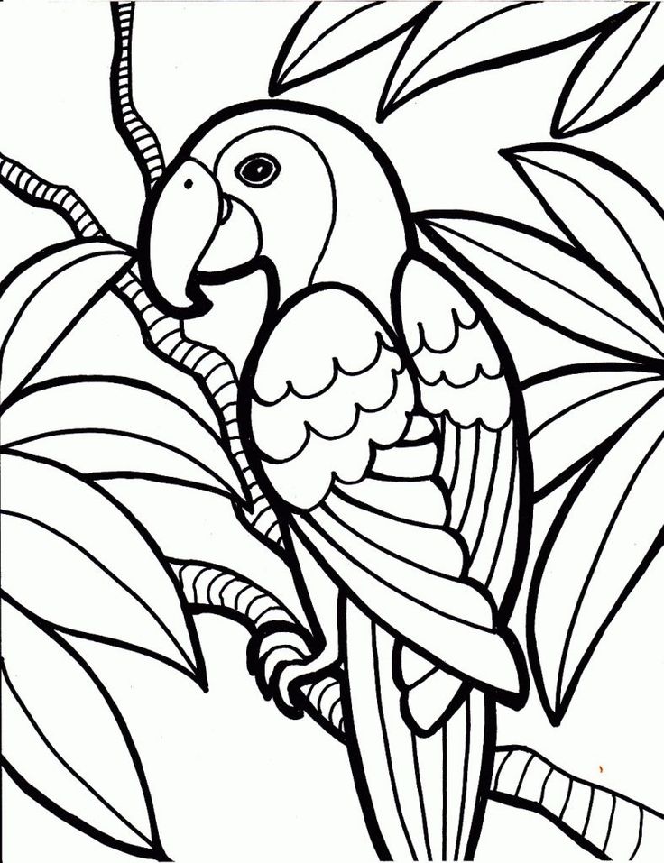 Free printable parrot coloring pages for kids sketsa buku mewarna adult coloring pages