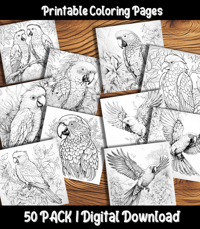 Parrot coloring pages digital pack happy colorist