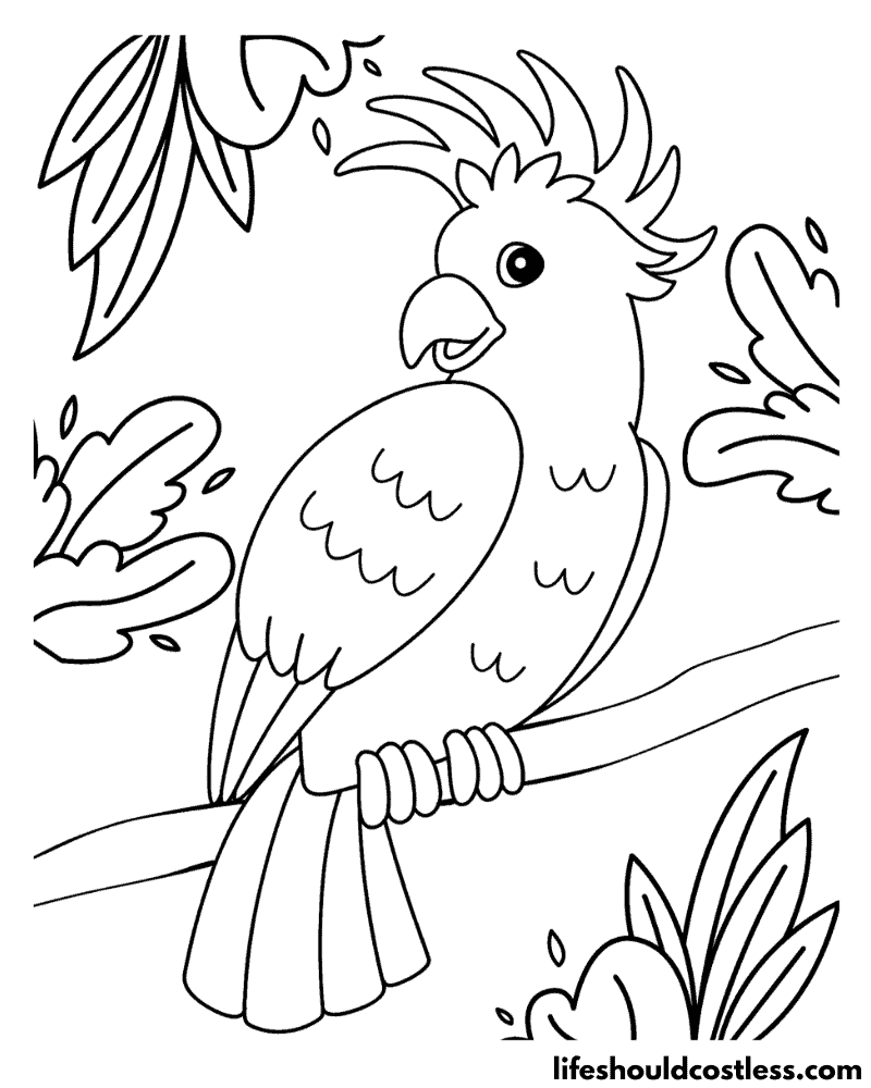 Parrot coloring pages free printable pdf templates