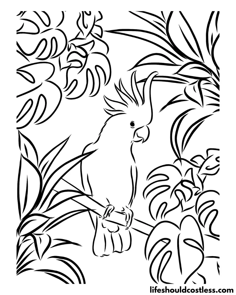 Parrot coloring pages free printable pdf templates