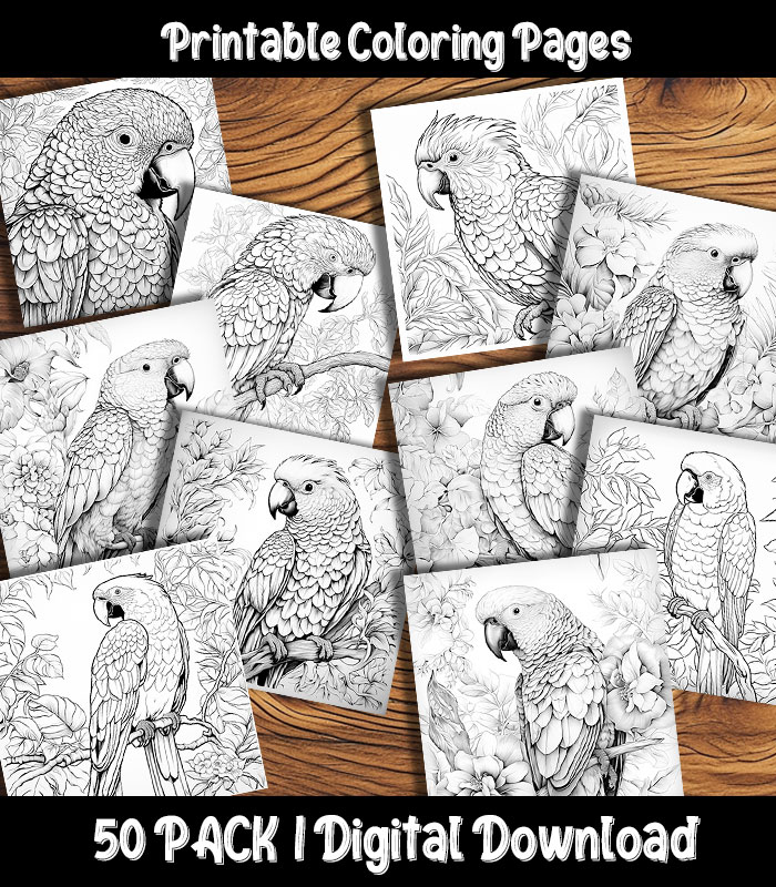 Parrot coloring pages digital pack happy colorist