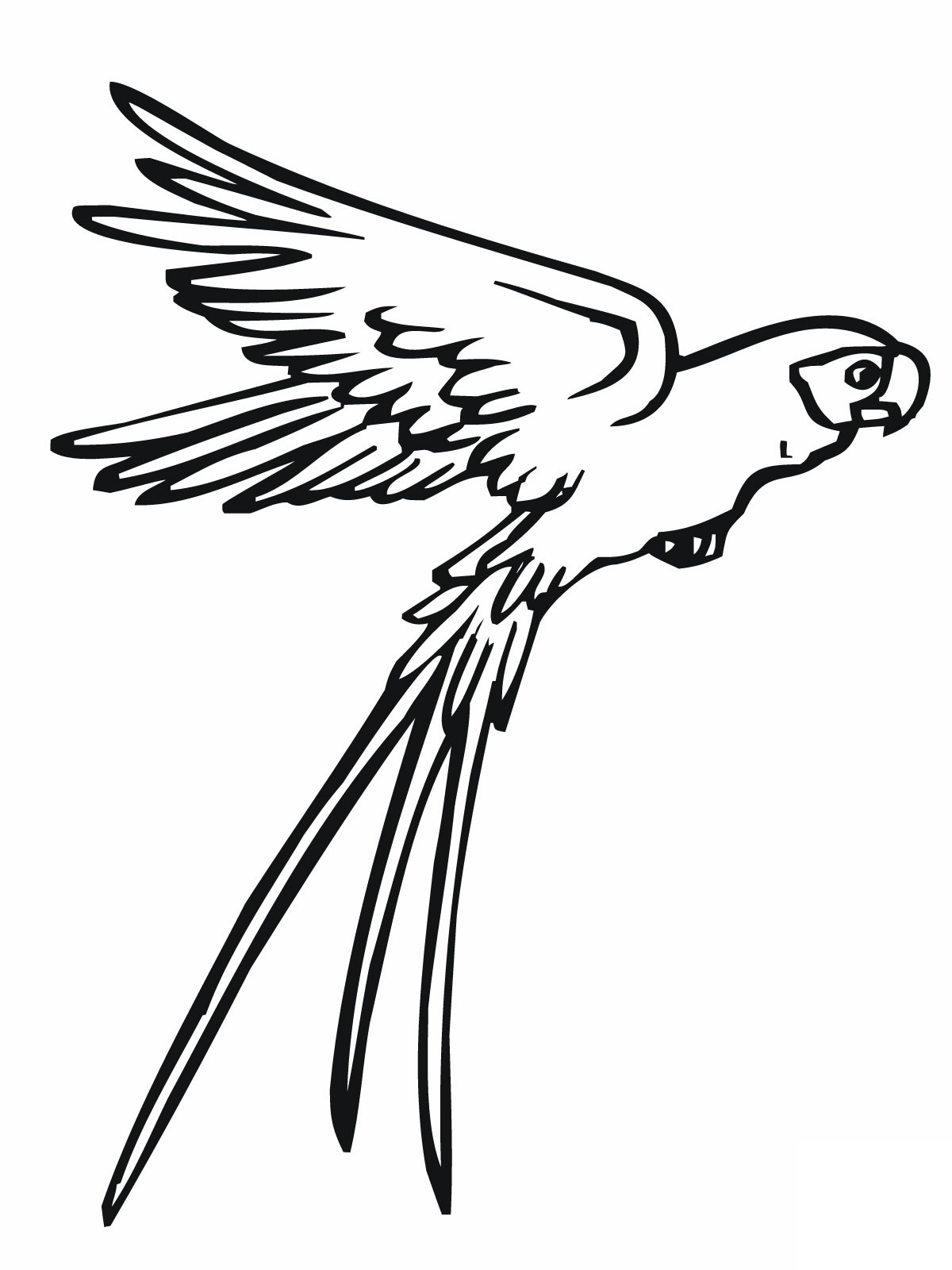Free printable parrot coloring pages for kids