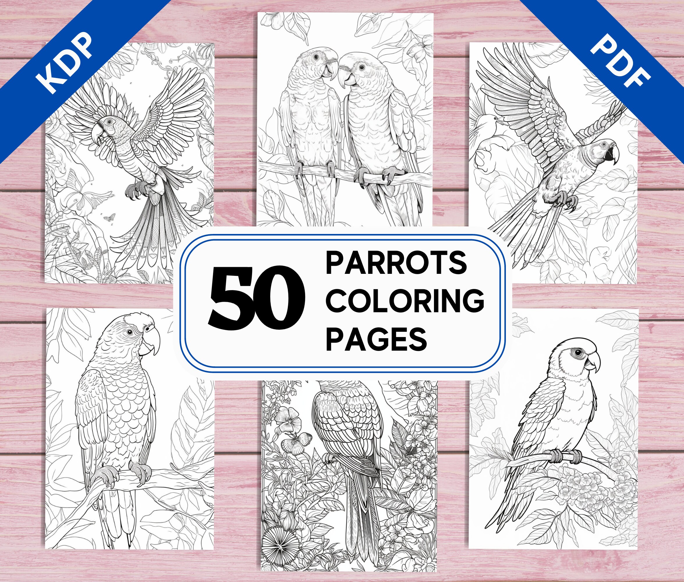 Kdp interior beautiful parrots coloring pages for adults