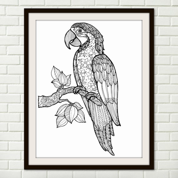 Parrot ara exotic bird with floral pattern zentangle art print adult coloring page printable art digital download wall art svg z