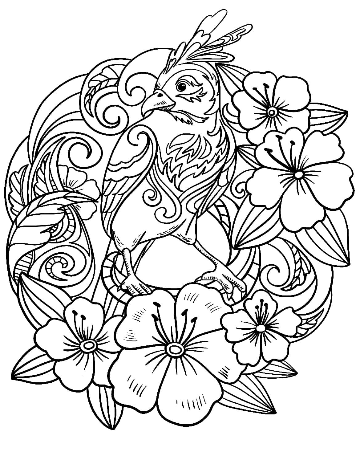 Beautiful parrot coloring page