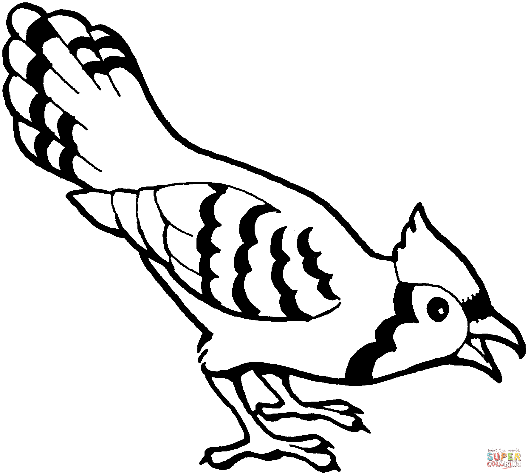 Blue jay bird coloring page free printable coloring pages bird coloring pages animal coloring pages coloring pages