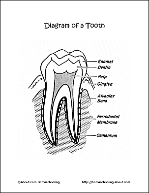 Dental health word search printables