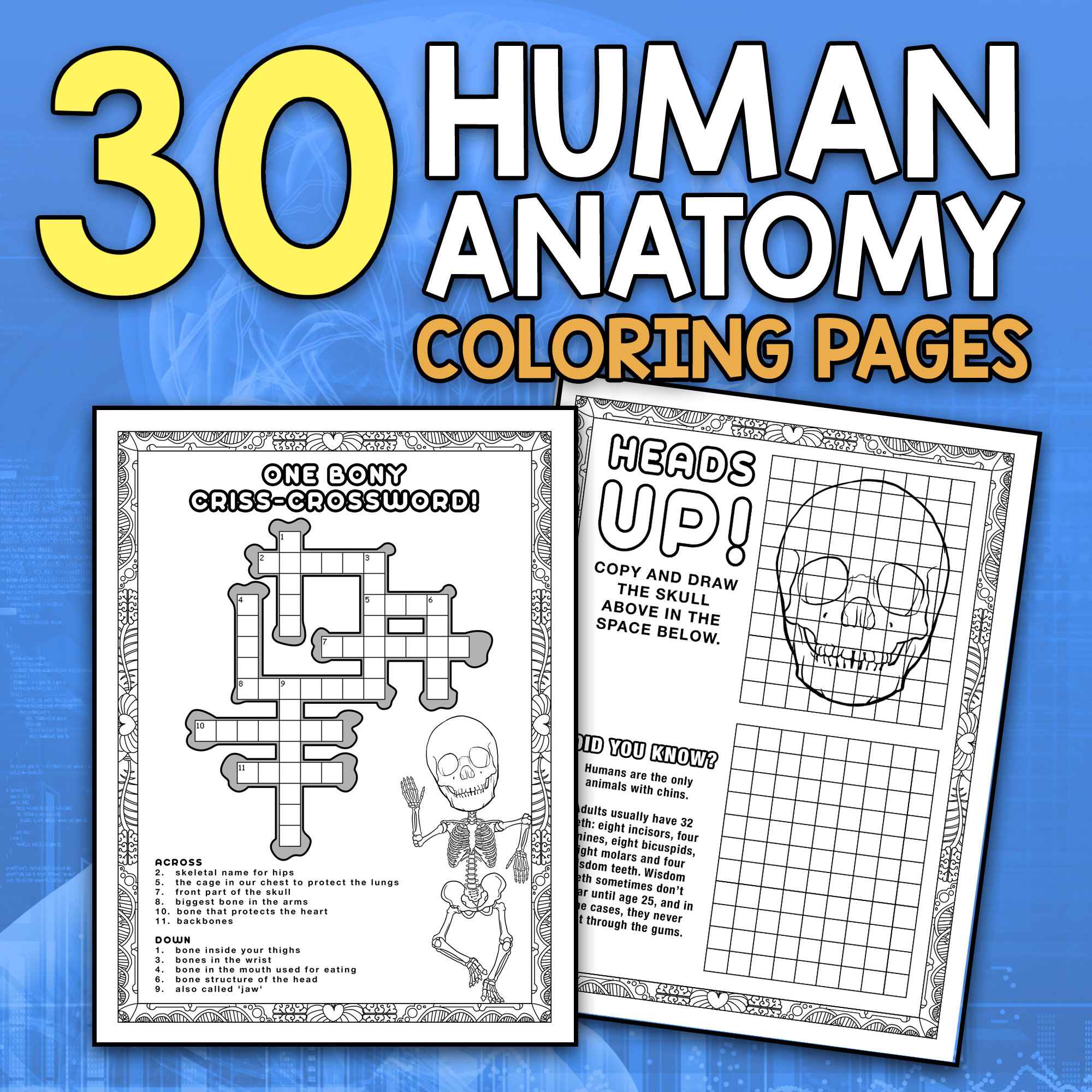 Best value my first anatomy coloring book educational human anatomy printable activity book for preschools and toddlers instant download