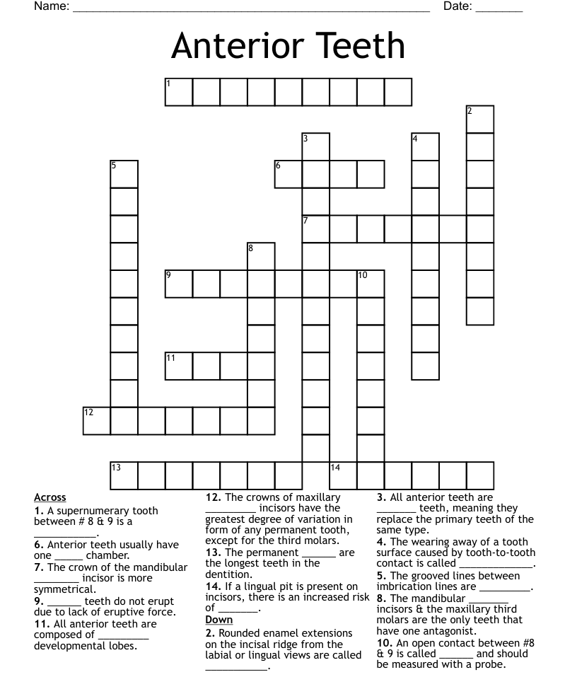 Anterior teeth crossword
