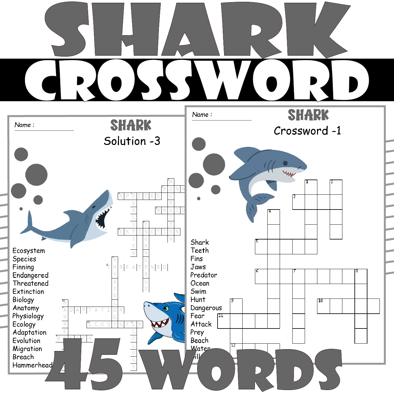 Shark crossword puzzle all about shark crossword activities made by teachers