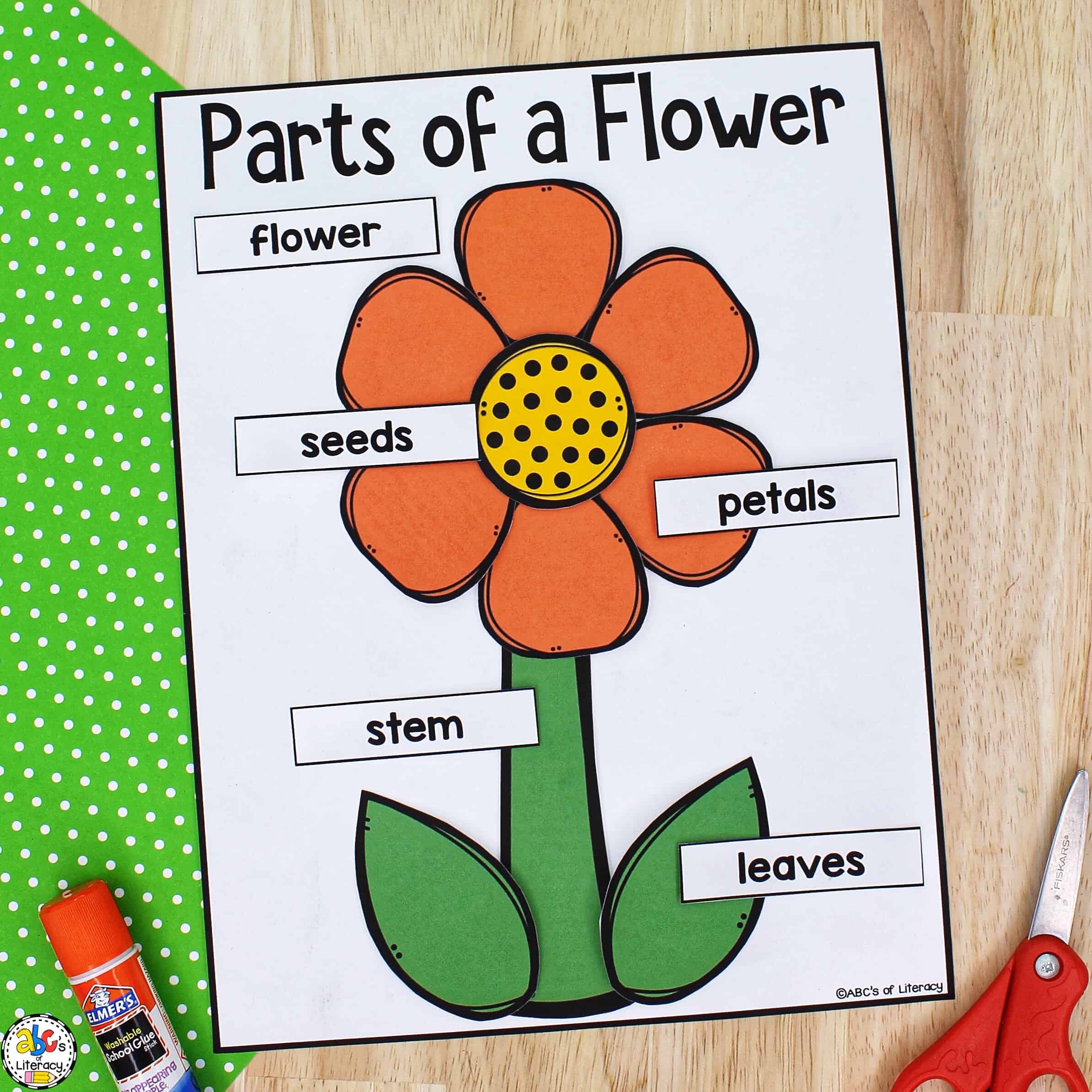 Parts of a flower craft science craft for kids