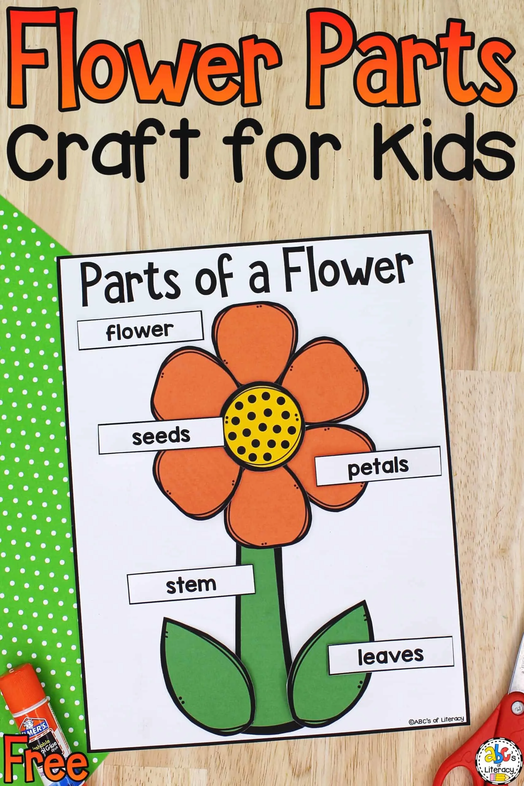 Parts of a flower craft science craft for kids