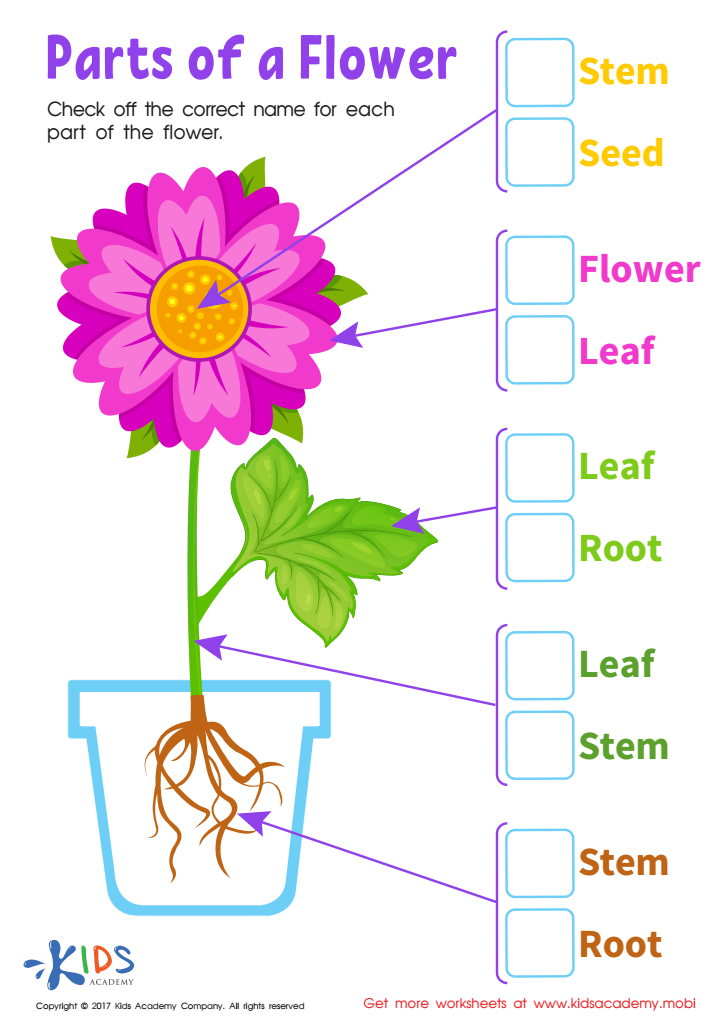 Parts flower printable free worksheet pdf for kids