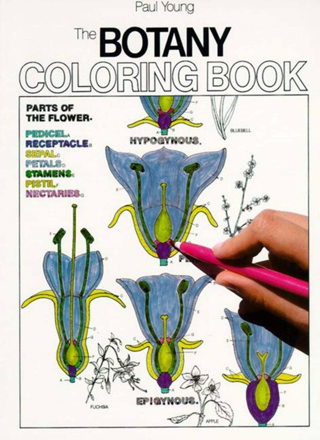 Gearhead botany coloring book makes perfect activity for rainy spring day