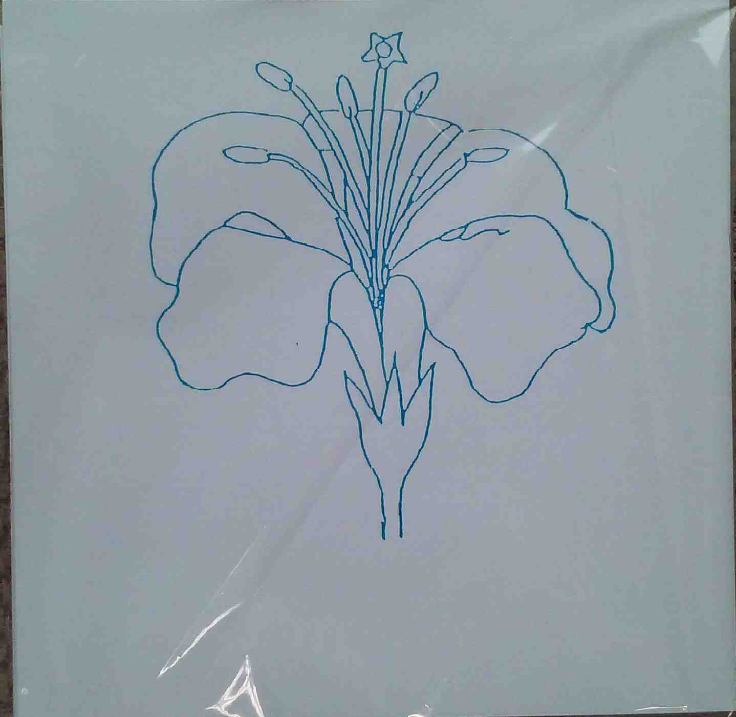 Parts of flower coloring sheet