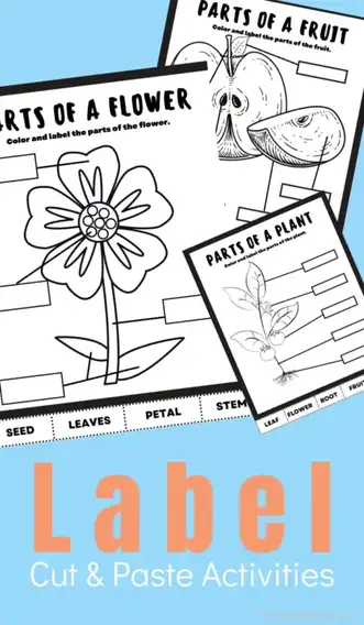 Plant activity color cut label