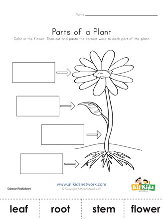 Parts of a plant cut and paste all kids network
