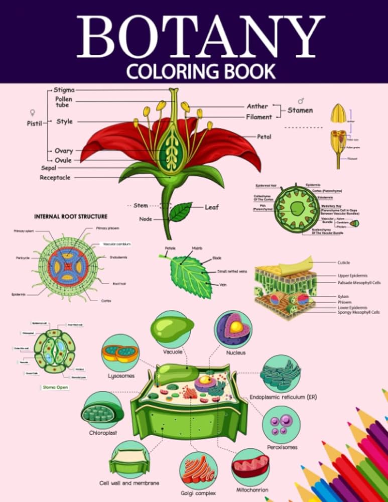 Botany coloring book botany anatomy coloring pages including details about plant cell parts of flowers trees leaves fruits for biology students and teachers m adams tomas books