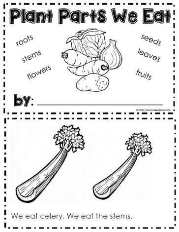 Booklet for plants we eat worksheets