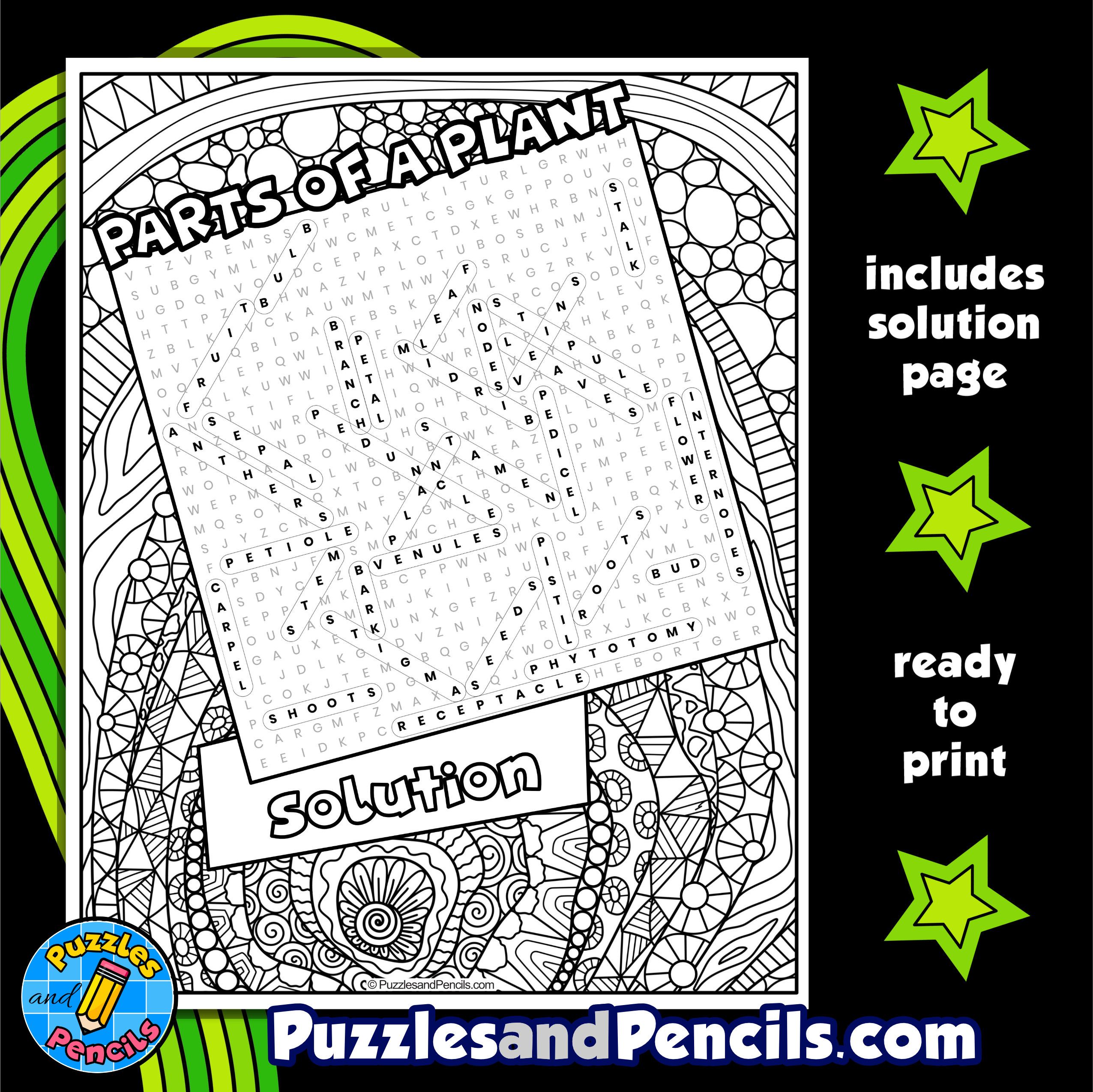 Parts of a plant word search puzzle with coloring plant biology wordsearch made by teachers