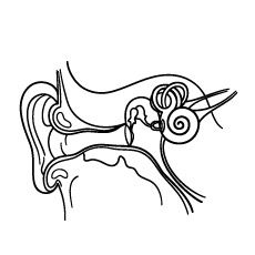 Redirecting anatomy coloring book coloring pages anatomy