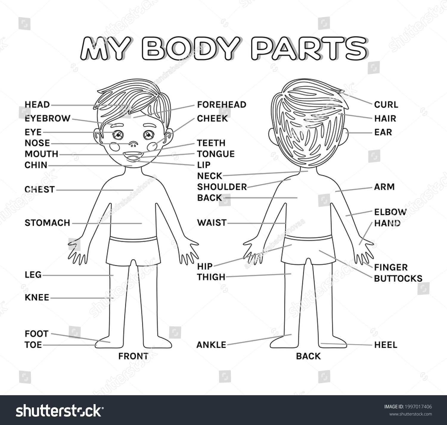 Poster cartoon boy my body parts stock vector royalty free
