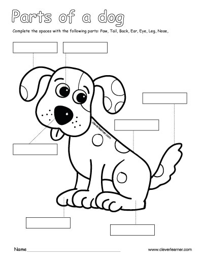 Label and color the parts of a dog