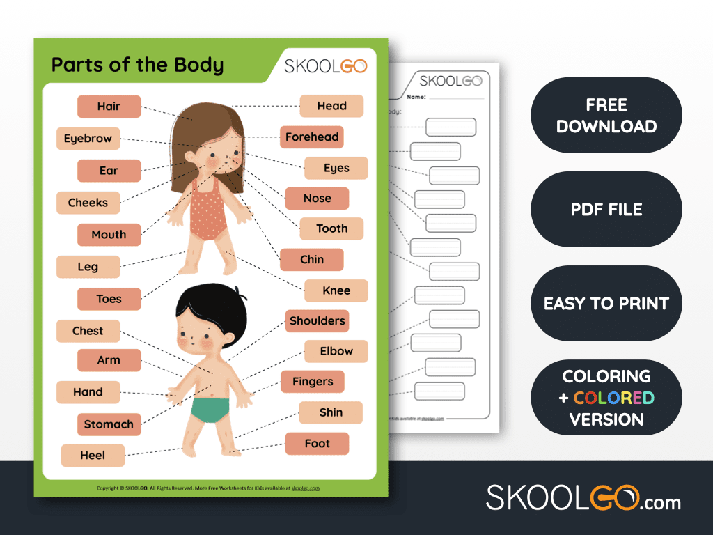 Parts of the body