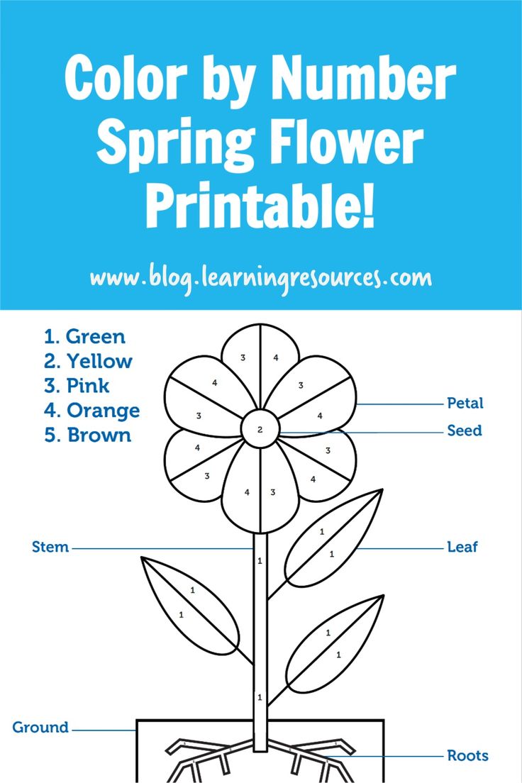 Color by number spring flower printable parts of a flower english stories for kids flower coloring pages
