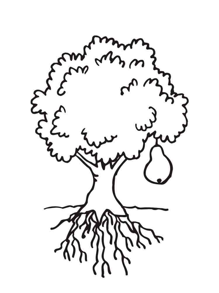 Pear on the tree coloring page