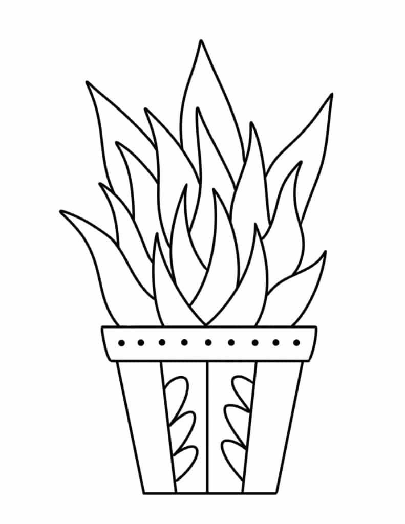 Free plant coloring pages â the hollydog blog