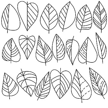 Plant part png vector psd and clipart with transparent background for free download