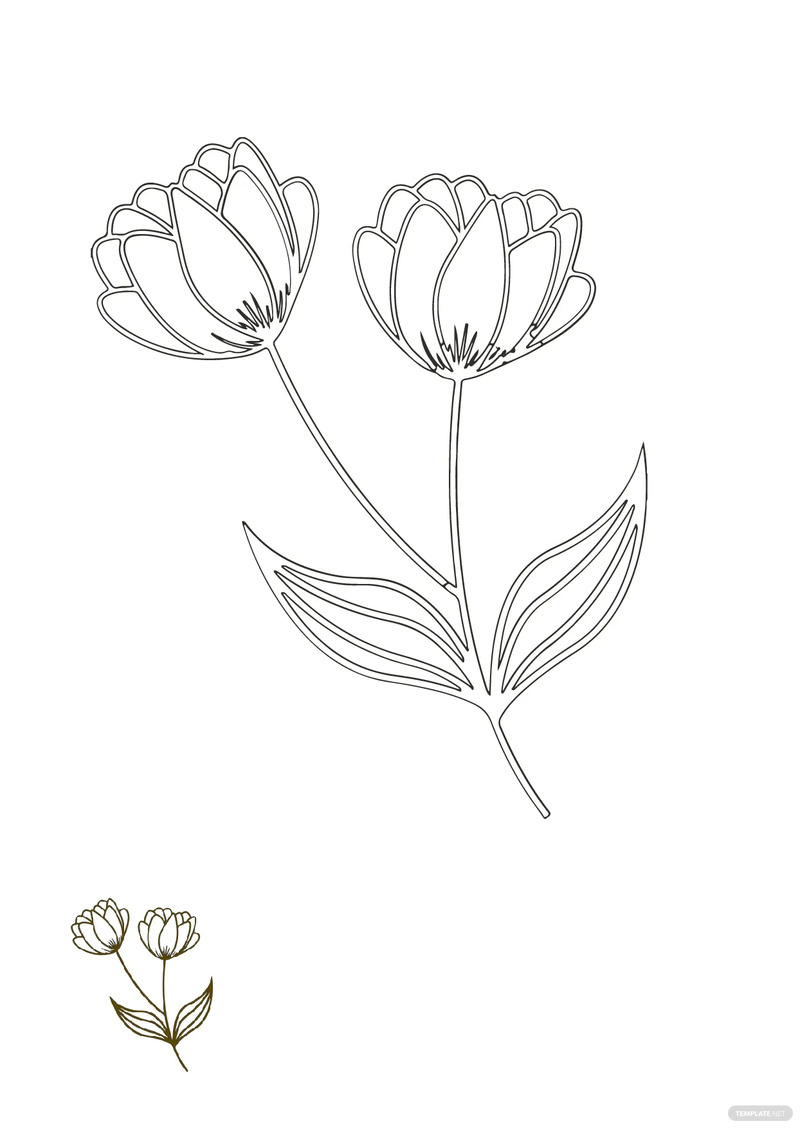 Coloring pages