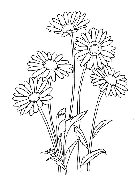 Printable floral coloring sheets coloring pages adult coloring pages kids coloring pages coloring flowers
