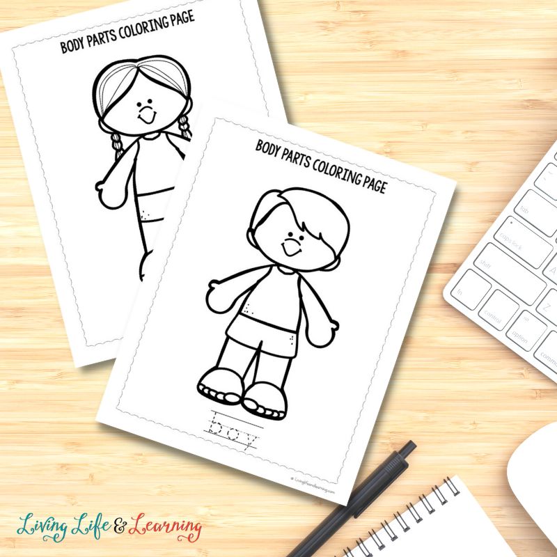 Body parts coloring pages