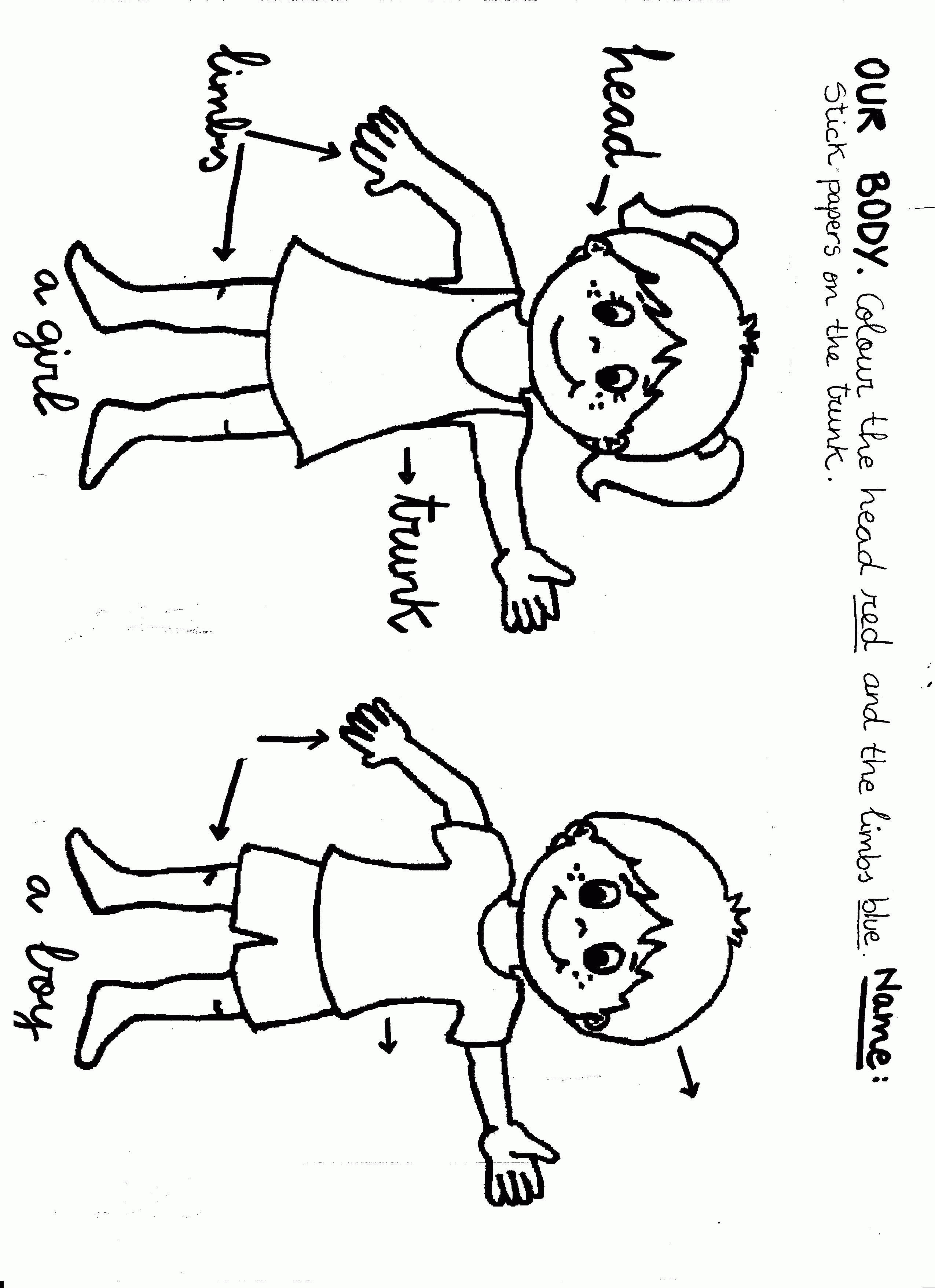 Body parts coloring page for kids animal body parts body parts for kids coloring pages