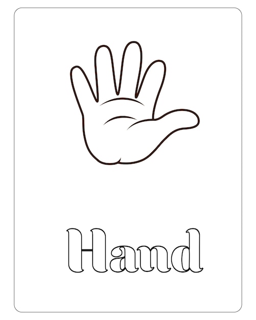 Premium vector human body part coloring pages for kids premium vector