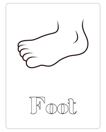 Premium vector human body part coloring pages for kids premium vector