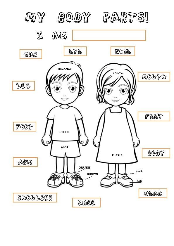 Body parts colourg pages preschool body parts preschool kdergarten worksheets body parts