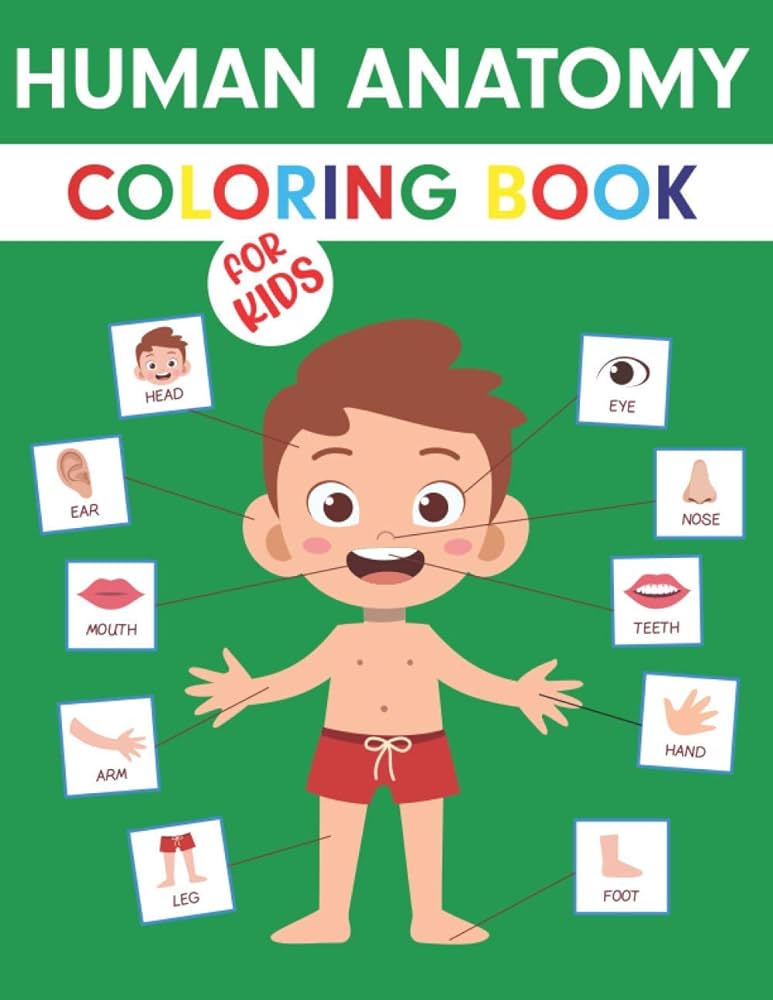 Human anatomy coloring book for kids my first anatomy book body parts coloring book for kids toddlers and preschoolers great gift for boys girls mueller press bethany books