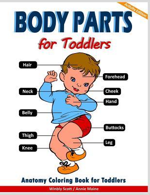 Body parts for toddlers anatomy coloring book for toddlers by annie maine